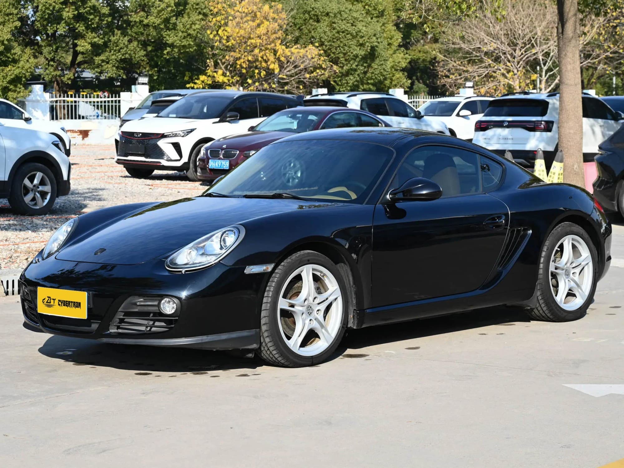 Porsche Cayman